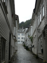 P1090497 - Copie