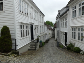P1090498 - Copie