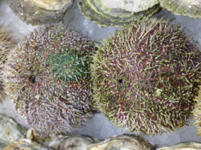 P1090615