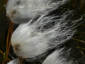 P1100680